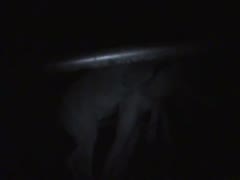 A horse mating a man was captured on video.